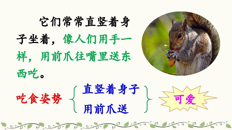 《松鼠》教学课件2(第二课时)第6页