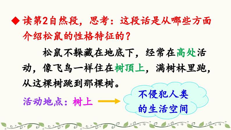 《松鼠》教学课件2(第二课时)第7页
