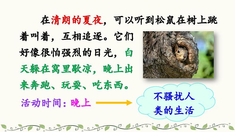《松鼠》教学课件2(第二课时)第8页