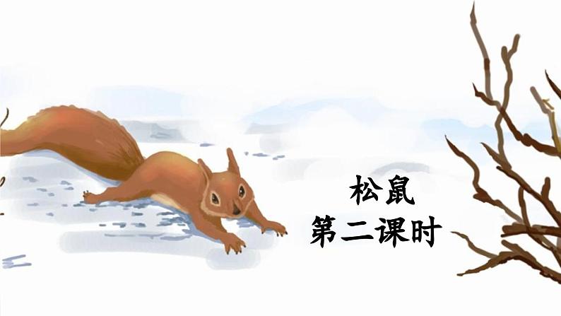 《松鼠》教学课件1(第二课时)01