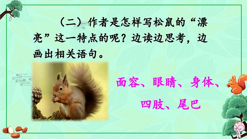 《松鼠》教学课件1(第二课时)04