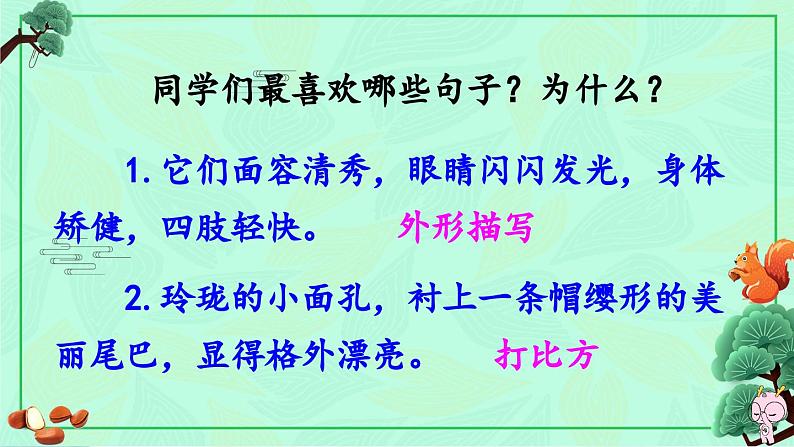 《松鼠》教学课件1(第二课时)05