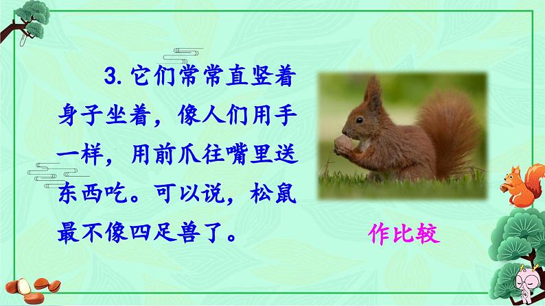 《松鼠》教学课件1(第二课时)06