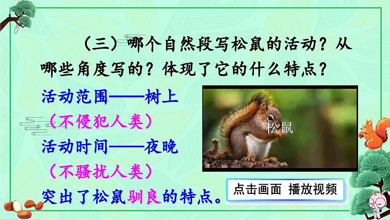 《松鼠》教学课件1(第二课时)08