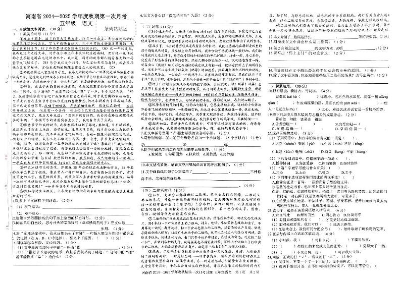 河南省驻马店市确山县部分小学2024-2025学年五年级上学期10月月考语文试卷第1页