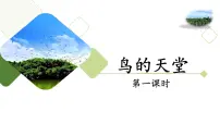 小学语文统编版（2024）五年级上册鸟的天堂教学演示ppt课件