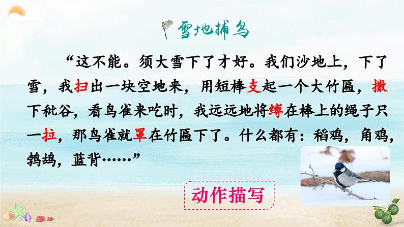 《少年闰土》精品课件(第二课时)第8页