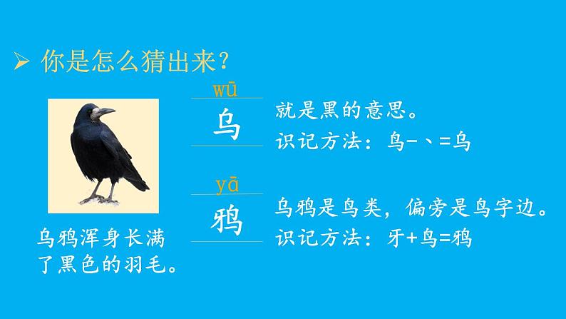 小学语文新部编版一年级上册第八单元第九课《乌鸦喝水》作业课件(2024秋)第3页