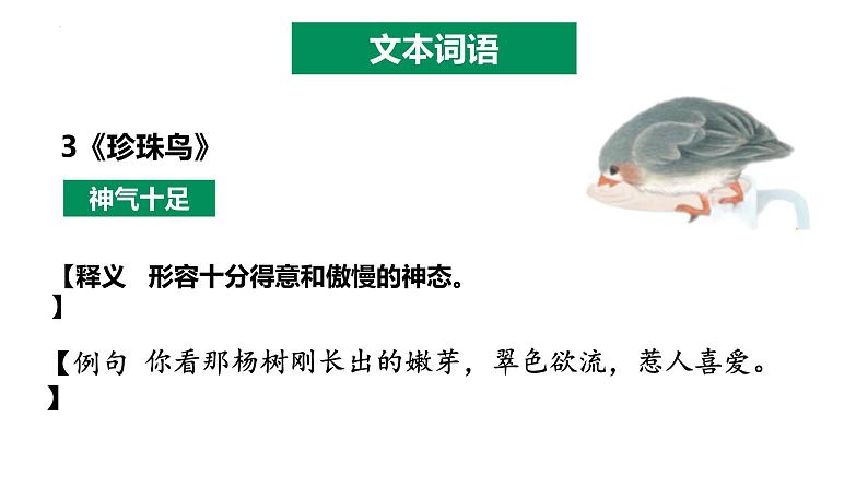 五年级语文上册 第一单元复习 (课件)2024-2025学年第一学期期中期末复习系列(统编版)第5页