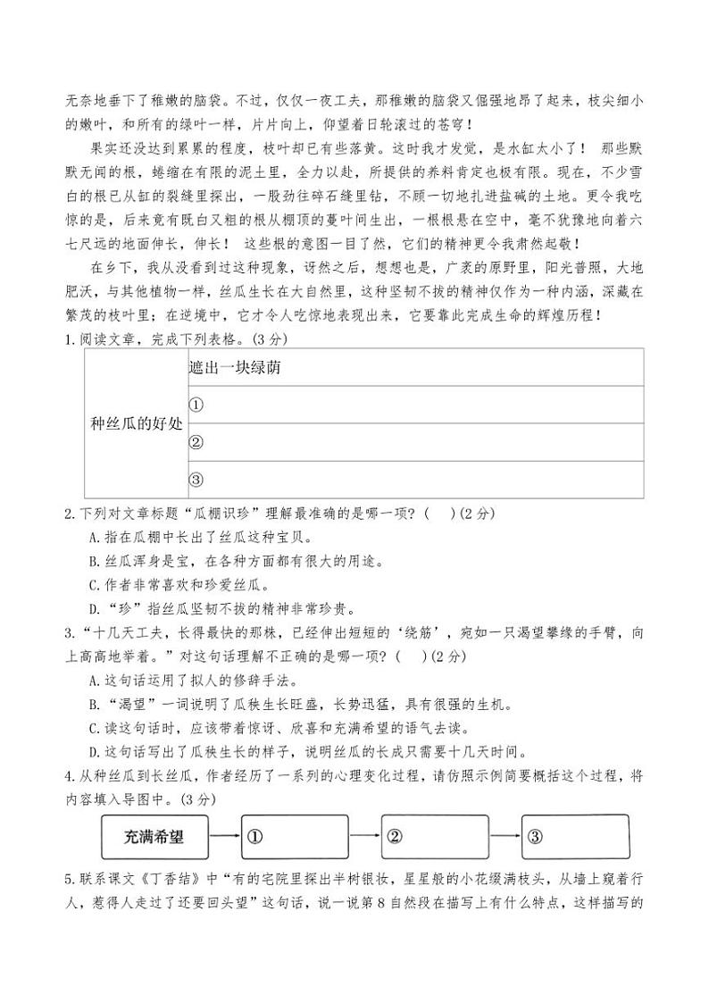 统编版2024~2025学年语文六年级上册期中复习专项训练(有答案)第3页