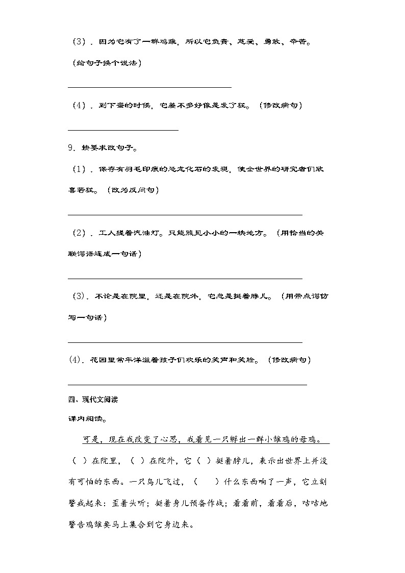 部编版语文四年级下册 14母鸡同步练习(含解析)第3页