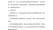 统编版（2024）四年级下册琥珀教学设计