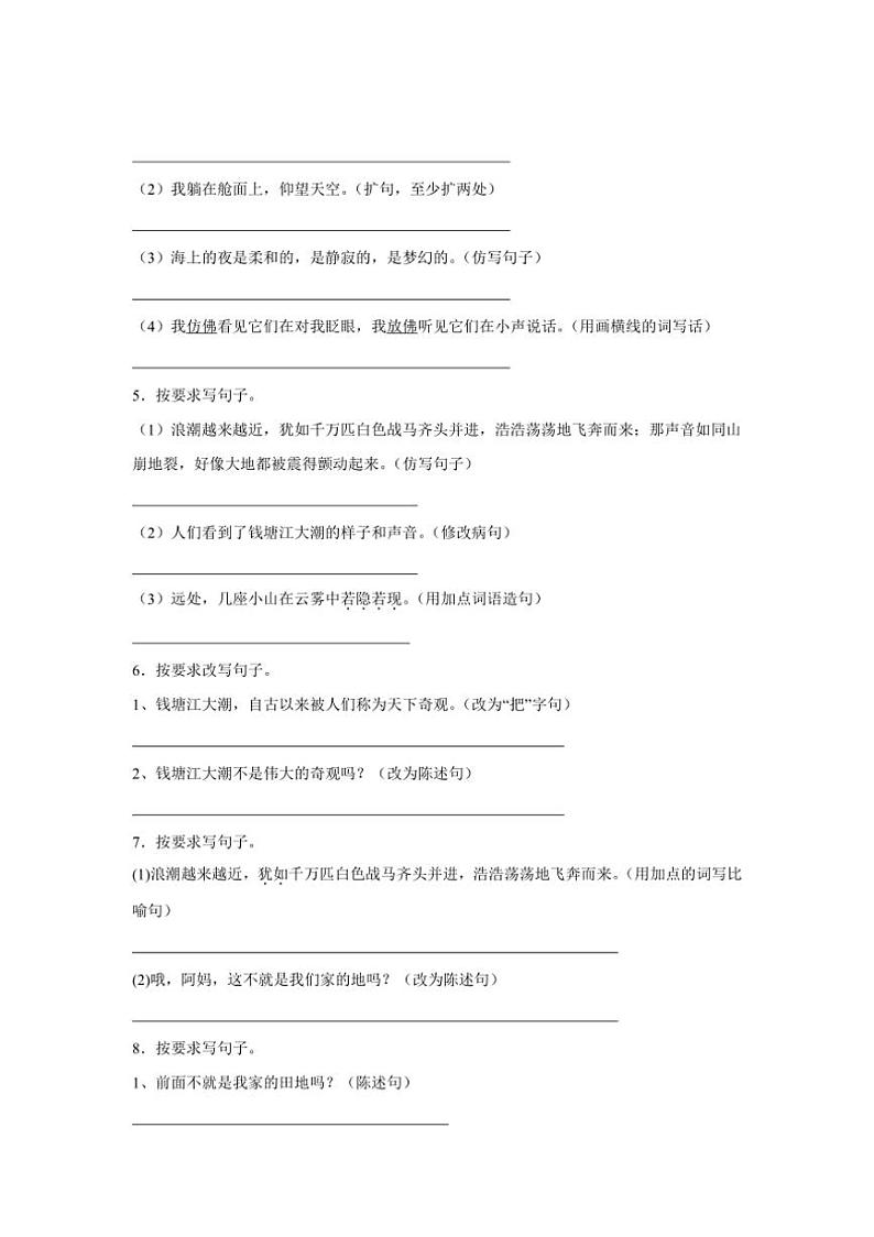 2024~2025学年统编版四年级上册语文期中专题训练:按要求写句子(含答案)第2页