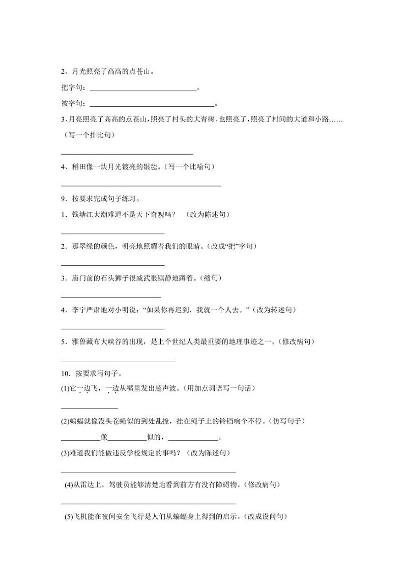 2024~2025学年统编版四年级上册语文期中专题训练:按要求写句子(含答案)第3页