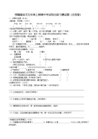 统编版语文五年级上册期中考试综合复习测试题(含答案)