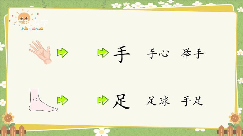 2024秋统编版语文一年级上册 识字3《口耳目手足》第1课时课件第7页