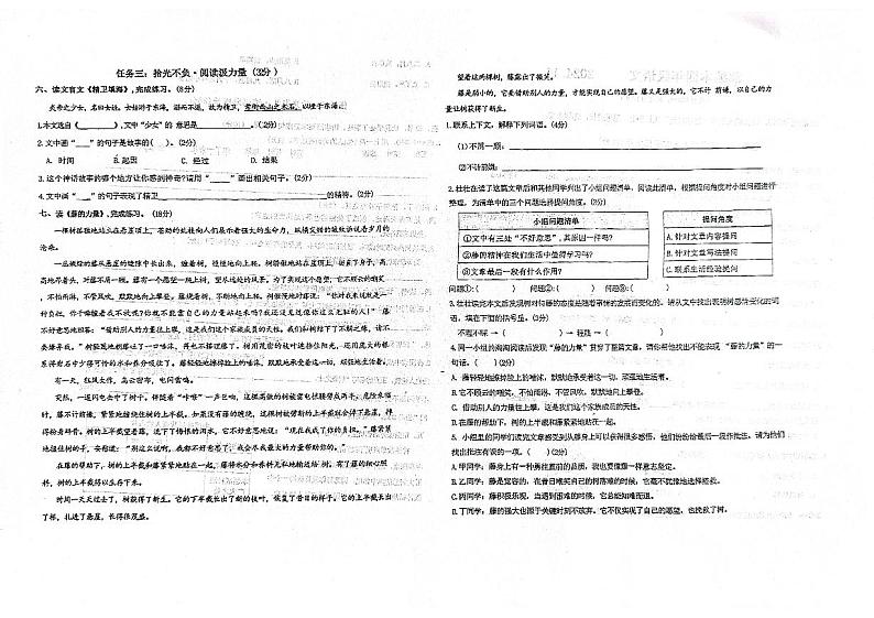 山东省潍坊市高密市高密市第三实验小学2024-2025学年四年级上学期11月期中语文试题02