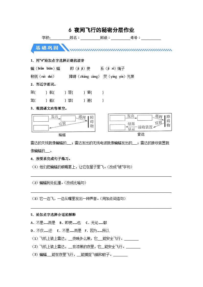 部编版小学四年级语文上册【分层作业】6 夜间飞行的秘密(课时练)(附答案)01