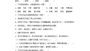 小学语文统编版（2024）四年级上册陀螺当堂达标检测题