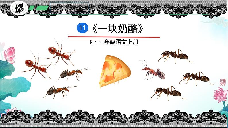 11 一块奶酪 课件第1页