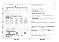 江西省宜春市丰城市多校2024-2025学年三年级上学期期中语文试卷