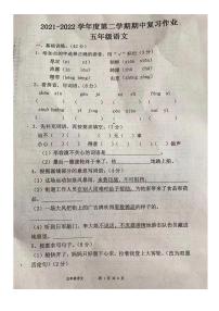 河南省驻马店市平舆县2021-2022学年五年级下学期期中语文试题