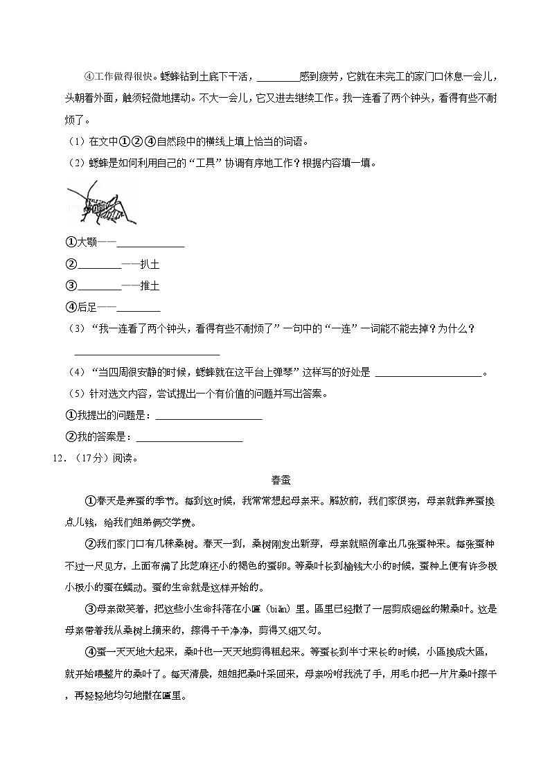 2024-2025学年江苏省南京市江宁区四年级(上)期中语文试卷(含答案)第3页