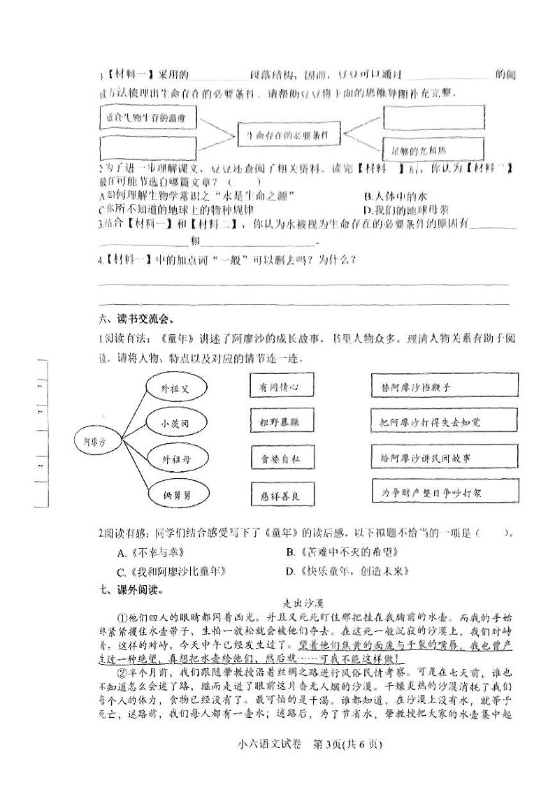 河南省南阳市镇平县2024-2025学年六年级上学期期中考试语文试卷03
