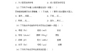小学语文统编版（2024）四年级下册小英雄雨来当堂达标检测题