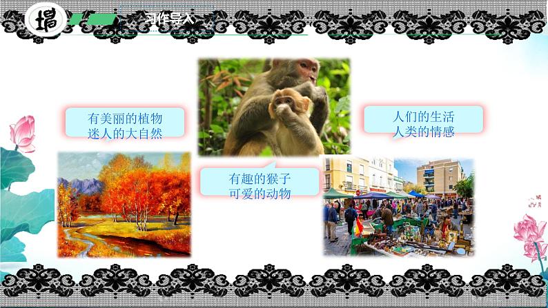 小学语文统编版三年级上册 习作:我们眼中的缤纷世界 课件第3页