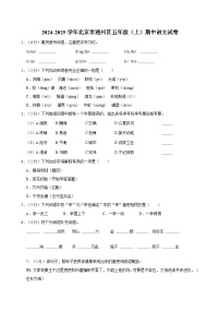 2024-2025学年北京市通州区五年级（上）期中语文试卷