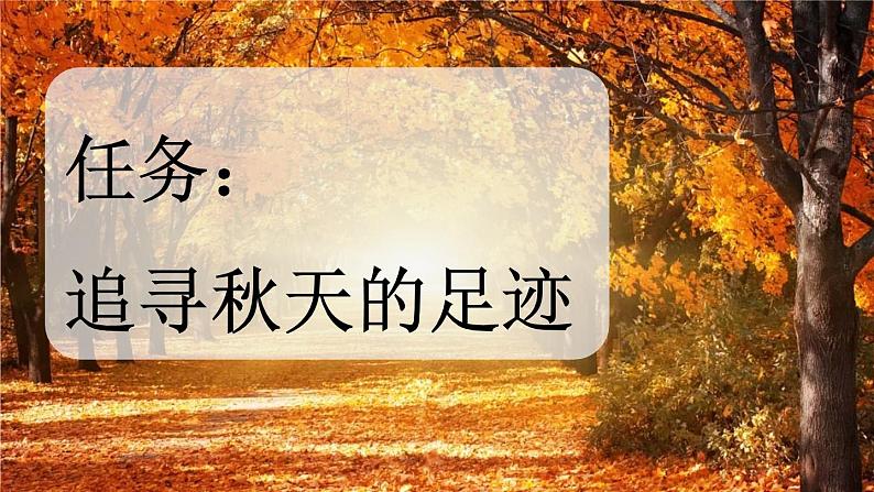 语文统编版(2024)一年级上册 1 秋天课件第3页