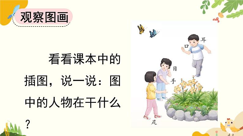 语文统编版(2024)一年级上册 识字3 口耳目手足课件第3页