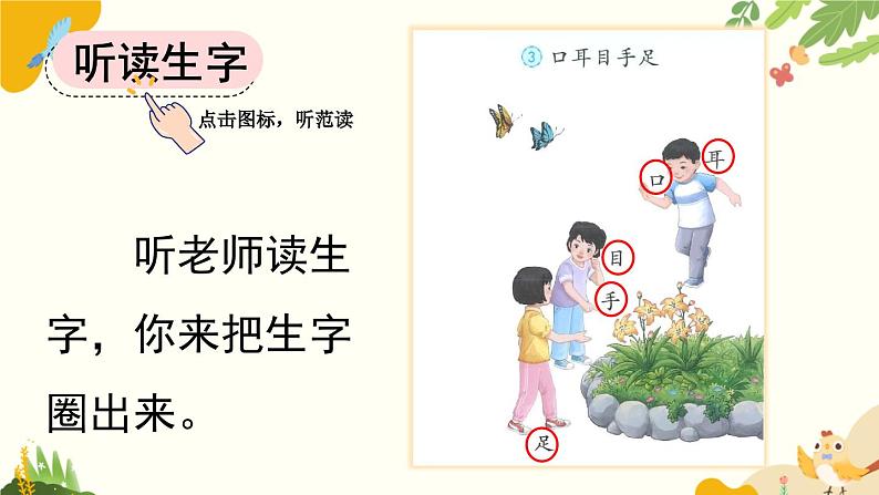 语文统编版(2024)一年级上册 识字3 口耳目手足课件第5页