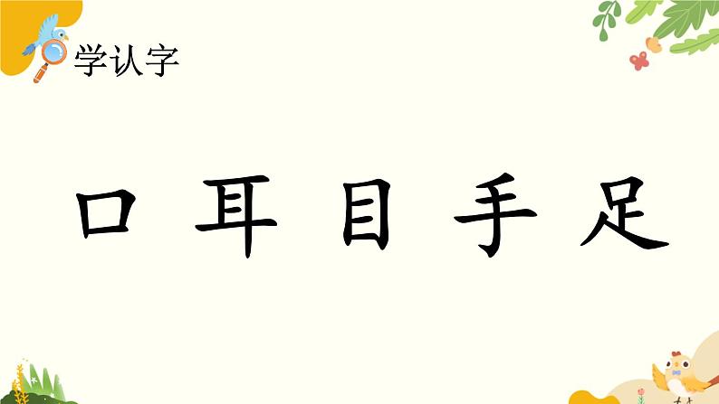 语文统编版(2024)一年级上册 识字3 口耳目手足课件第6页