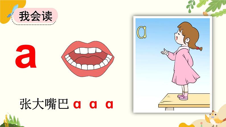 语文统编版(2024)一年级上册 汉语拼音1 ɑ o e课件第5页