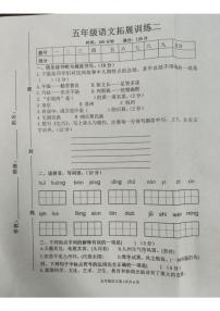 河南省安陽市滑縣2024-2025學年五年級上學期11月期中語文試題