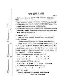 山东省淄博市淄川区2024-2025学年六年级上学期期中考试语文试卷