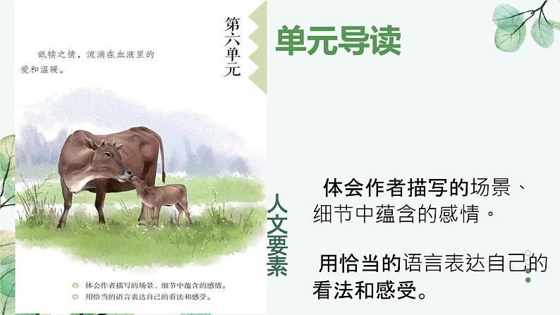 统编版语文五年级上册第18课《慈母情深》课件第3页