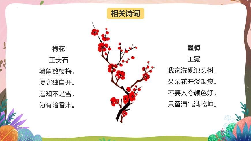 人教部編版語文五年級下冊 第4課《梅花魂》課件第3頁