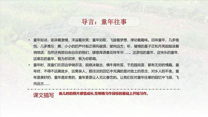 習(xí)作：那一刻，我長大了（含課后作業(yè)）第3頁
