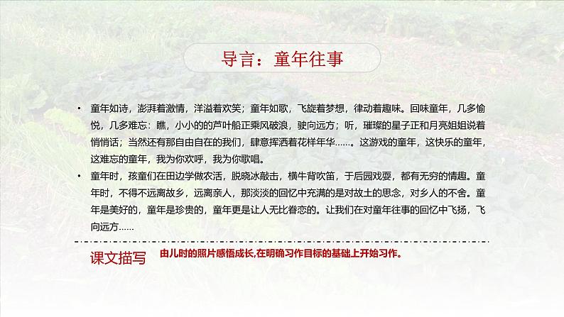 习作:那一刻,我长大了(含课后作业)第3页