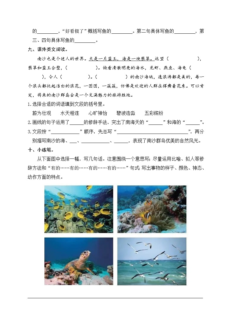 部编版小学语文三年级上册18课《富饶的西沙群岛》读写练习题第3页