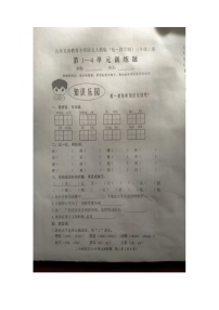 山东省泰安市肥城市2024-2025学年三年级上学期期中语文试卷