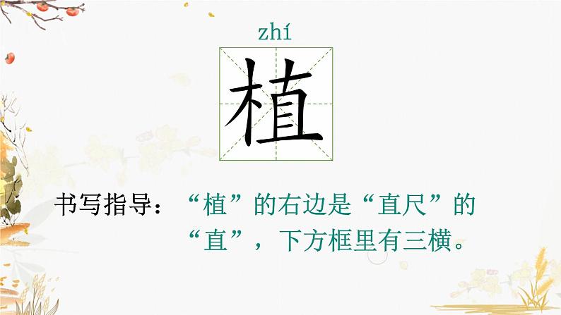 4 邓小平爷爷植树(第一课时)第4页