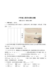 期末试题-2024-2025学年语文六年级上册统编版