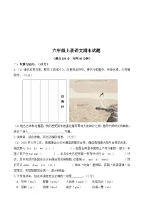 期末试题-2024-2025学年语文六年级上册统编版