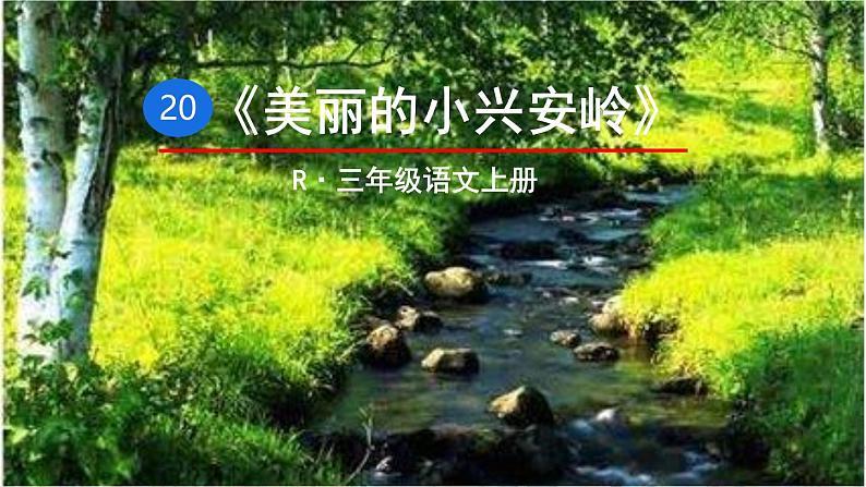 小学语文统编版三年级上册 20 美丽的小兴安岭 课件第1页