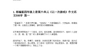 小学语文统编版（2024）四年级上册第六单元习作：记一次游戏导学案