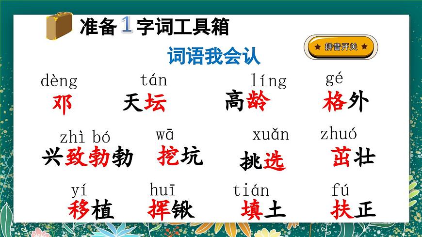 【核心素養(yǎng)】部編版小學(xué)語(yǔ)文二年級(jí)下冊(cè) 4 鄧小平爺爺植樹(shù) 課件第4頁(yè)